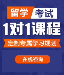 操死你骚逼黄片留学考试一对一精品课